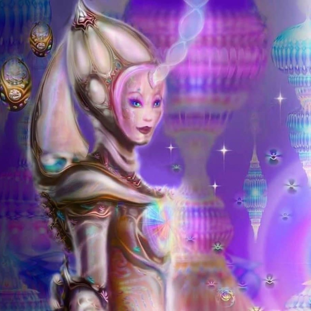 Meet your Posher, Posh